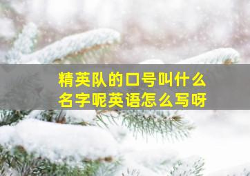 精英队的口号叫什么名字呢英语怎么写呀