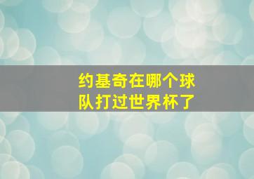 约基奇在哪个球队打过世界杯了