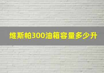 维斯帕300油箱容量多少升