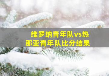 维罗纳青年队vs热那亚青年队比分结果