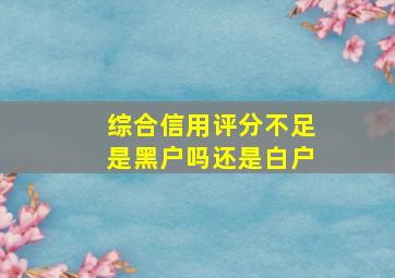 综合信用评分不足是黑户吗还是白户