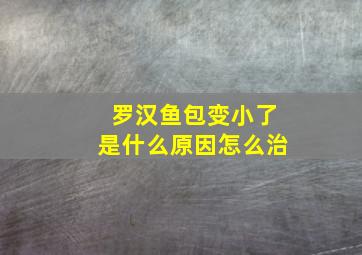 罗汉鱼包变小了是什么原因怎么治