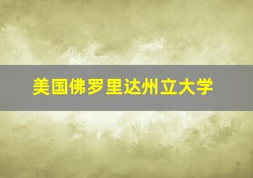 美国佛罗里达州立大学