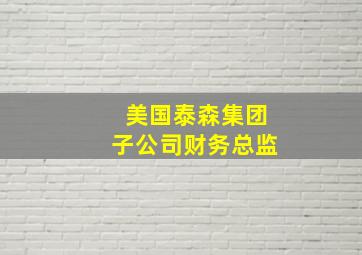 美国泰森集团子公司财务总监