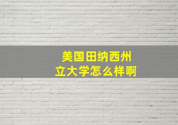 美国田纳西州立大学怎么样啊