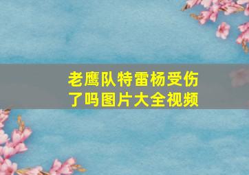 老鹰队特雷杨受伤了吗图片大全视频