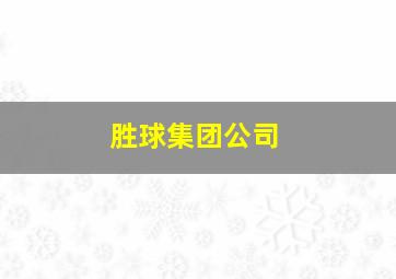 胜球集团公司