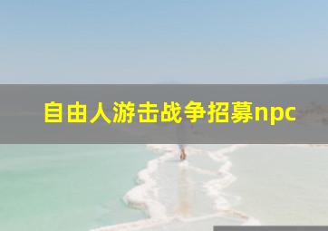 自由人游击战争招募npc