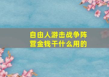 自由人游击战争阵营金钱干什么用的