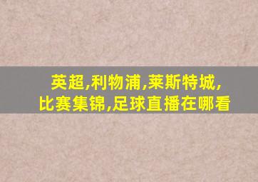 英超,利物浦,莱斯特城,比赛集锦,足球直播在哪看