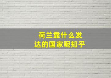 荷兰靠什么发达的国家呢知乎