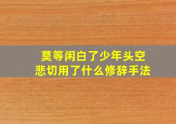 莫等闲白了少年头空悲切用了什么修辞手法