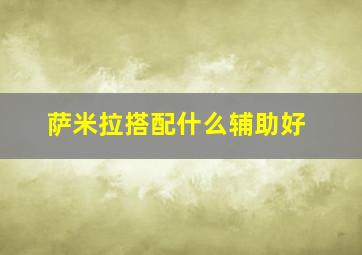 萨米拉搭配什么辅助好