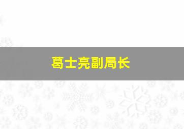 葛士亮副局长