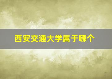 西安交通大学属于哪个