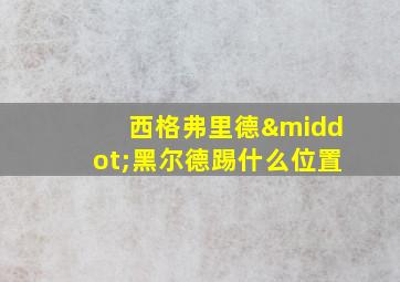 西格弗里德·黑尔德踢什么位置