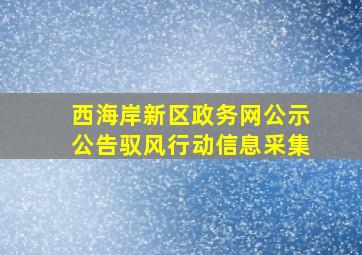 西海岸新区政务网公示公告驭风行动信息采集