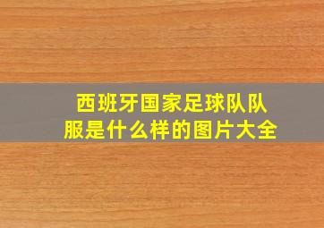 西班牙国家足球队队服是什么样的图片大全