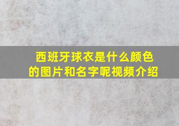 西班牙球衣是什么颜色的图片和名字呢视频介绍