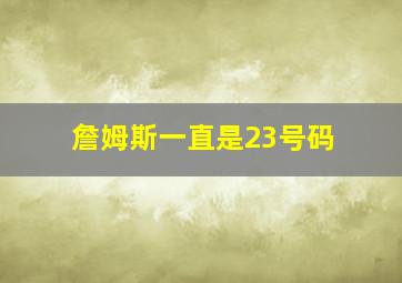 詹姆斯一直是23号码