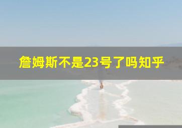 詹姆斯不是23号了吗知乎