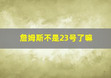 詹姆斯不是23号了嘛