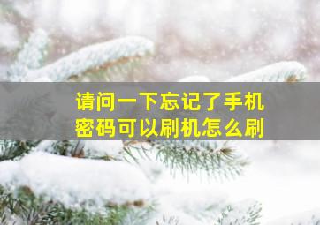 请问一下忘记了手机密码可以刷机怎么刷