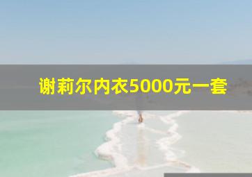 谢莉尔内衣5000元一套