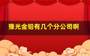 豫光金铅有几个分公司啊