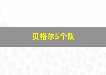 贝格尔5个队