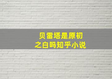 贝雷塔是原初之白吗知乎小说