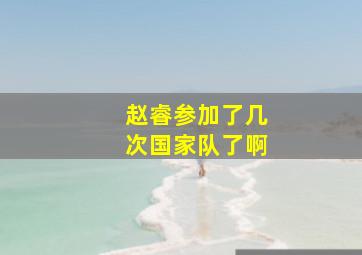 赵睿参加了几次国家队了啊