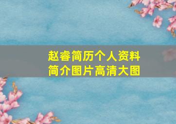 赵睿简历个人资料简介图片高清大图