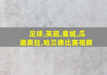 足球,英超,曼城,瓜迪奥拉,哈兰德比赛视频