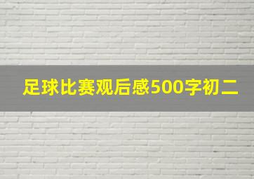 足球比赛观后感500字初二