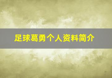 足球葛勇个人资料简介