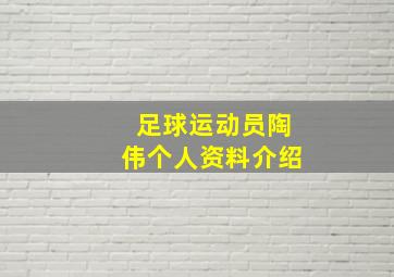 足球运动员陶伟个人资料介绍