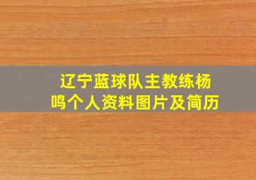 辽宁蓝球队主教练杨鸣个人资料图片及简历