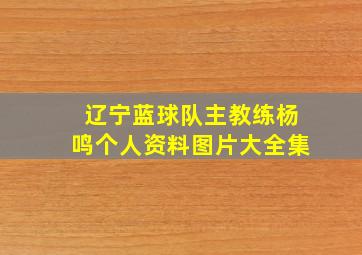 辽宁蓝球队主教练杨鸣个人资料图片大全集