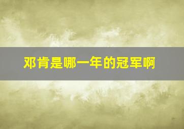 邓肯是哪一年的冠军啊