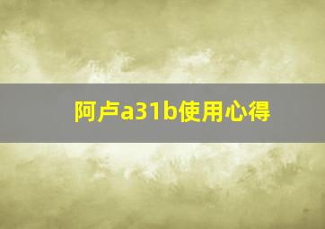 阿卢a31b使用心得