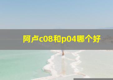 阿卢c08和p04哪个好