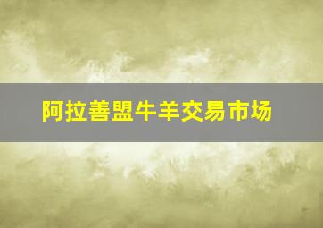 阿拉善盟牛羊交易市场