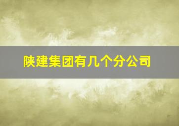 陕建集团有几个分公司