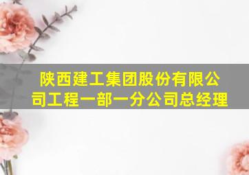 陕西建工集团股份有限公司工程一部一分公司总经理