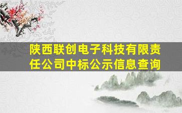 陕西联创电子科技有限责任公司中标公示信息查询