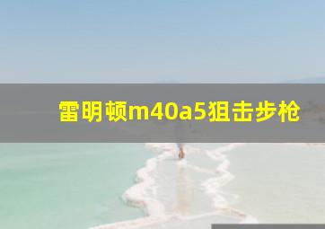 雷明顿m40a5狙击步枪