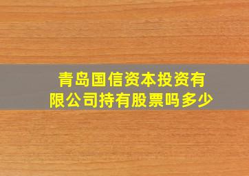 青岛国信资本投资有限公司持有股票吗多少