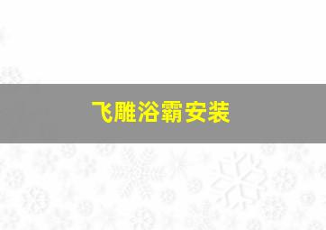 飞雕浴霸安装