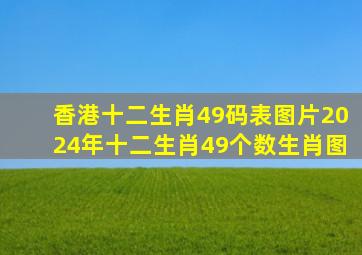 香港十二生肖49码表图片2024年十二生肖49个数生肖图